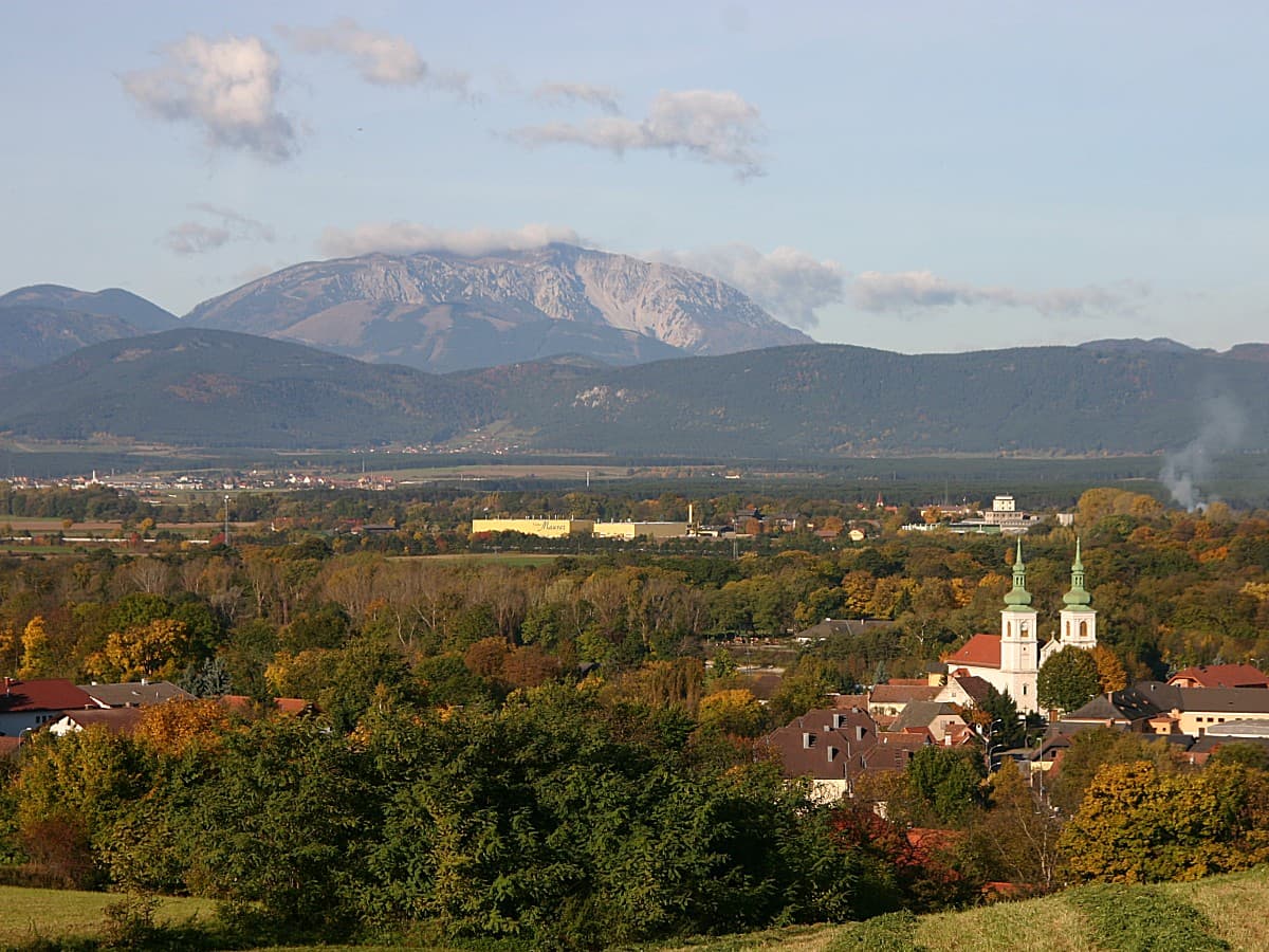 Ortsansicht von Schwarzau am Steinfeld, Niederösterreich